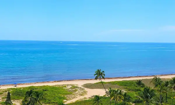 2000 S Ocean Boulevard 10k, Lauderdale-by-the-sea, FL 33062