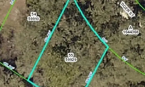 0 Tiger Street, Ridge Manor, FL, 33523