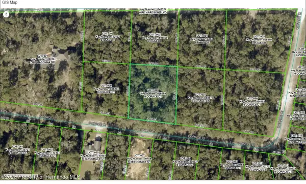 0 Corace Court, Webster, FL, 33597