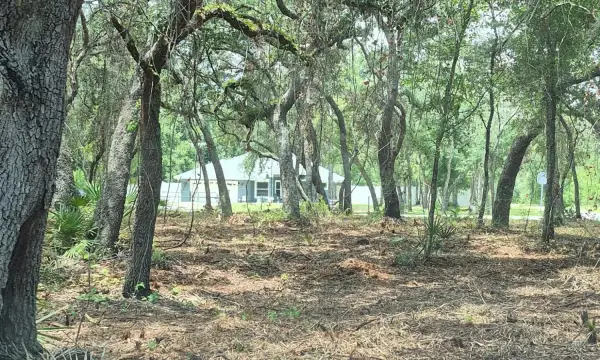 7149 Alloy Street, Webster, FL, 33597