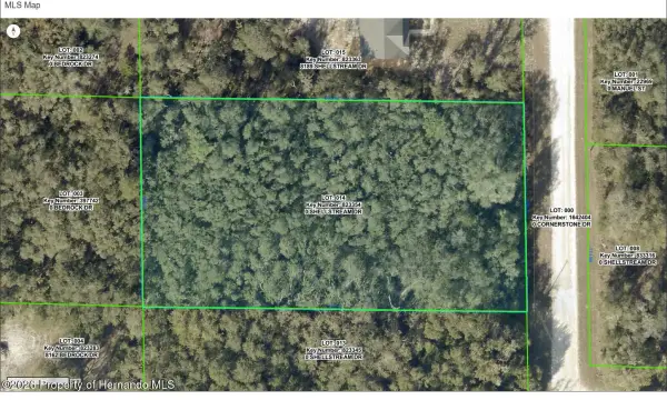 8179 Shellstream Drive, Webster, FL, 33597