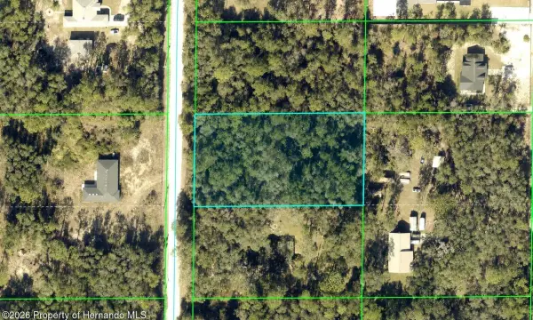 0 Alloy Street, Webster, FL, 33597