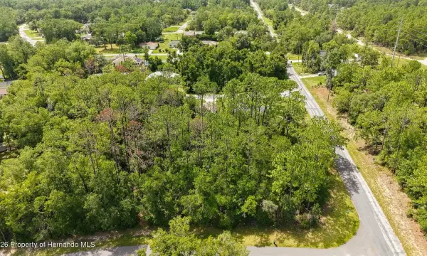 1320 W Sorrento Drive, Citrus Springs, FL, 34434