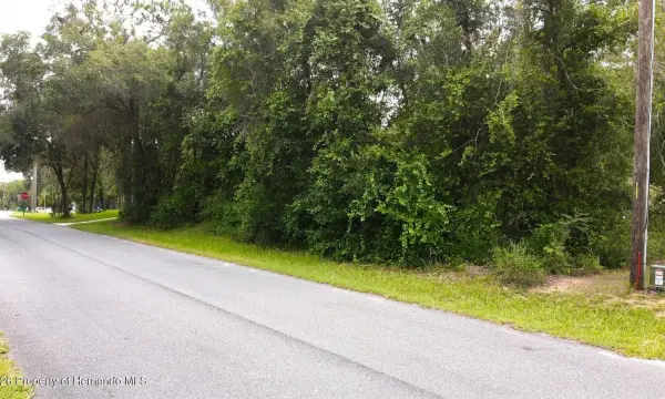 6982 N Palmer Way, Hernando, FL, 34442