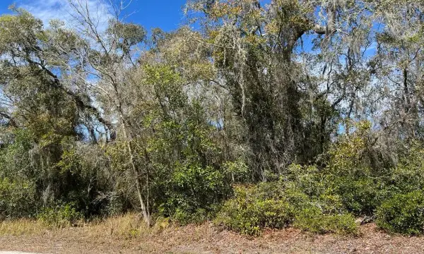 0 Riverstone Street, Webster, FL, 33597