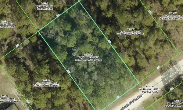 0 Canyon Swallow Road, Weeki Wachee, FL, 34614