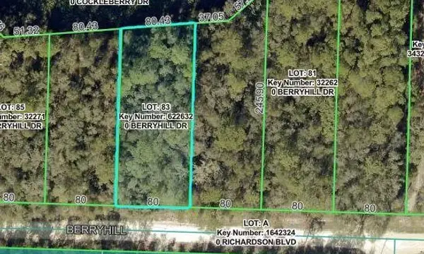 34338 Berryhill Drive, Webster, FL, 33597