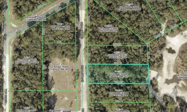 9088 Realstone Drive, Webster, FL, 33597