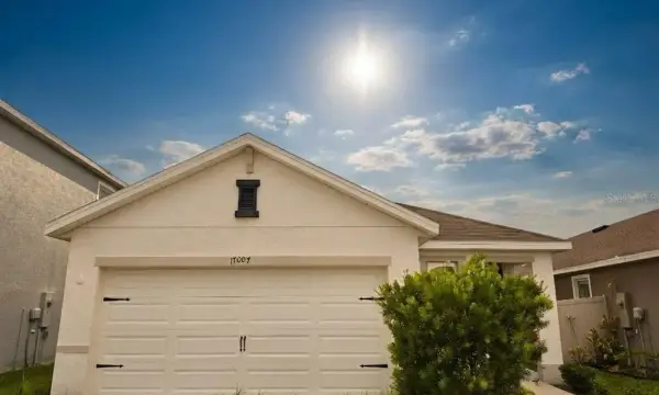 17007 Blister Wing Drive, Wimauma, FL, 33598