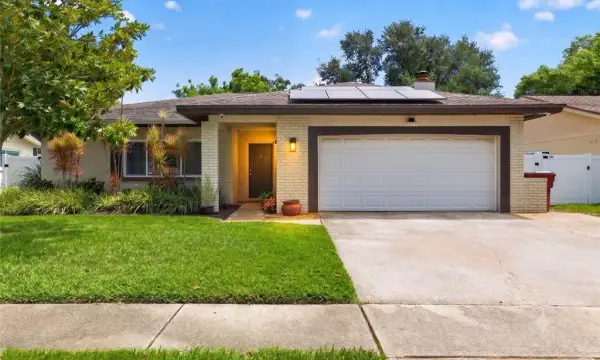 1977 Citrus Hill Road, Palm Harbor, FL, 34683