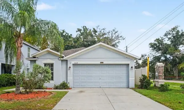 10614 Summer Azure Drive, Riverview, FL, 33578