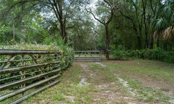 1338 E Belmont Place, Hernando, FL, 34442