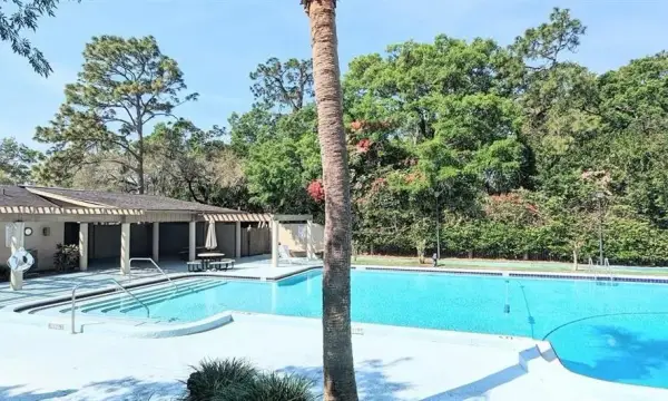3111 Creekglen Court, Brandon, FL, 33511