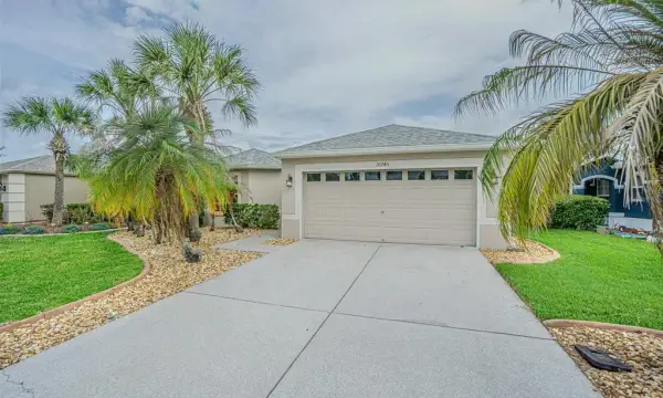 10245 Buncombe Way, San Antonio, FL, 33576