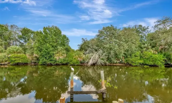 236 N Saint Thomas Circle, Apollo Beach, FL, 33572