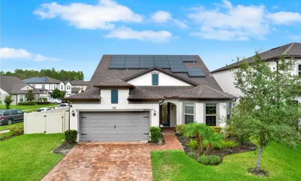 19234 Mossy Pine Drive, Tampa, FL, 33647