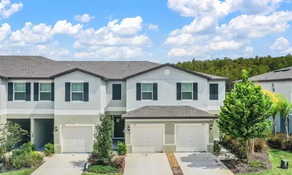 2166 Great Sapphire Lane, Lutz, FL, 33558