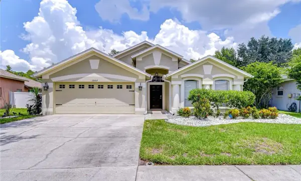 19707 Ellendale Drive, Land O Lakes, FL, 34638