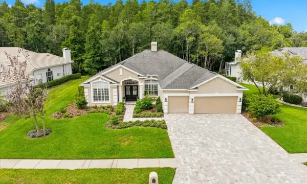 18918 Saint Laurent Drive, Lutz, FL, 33558