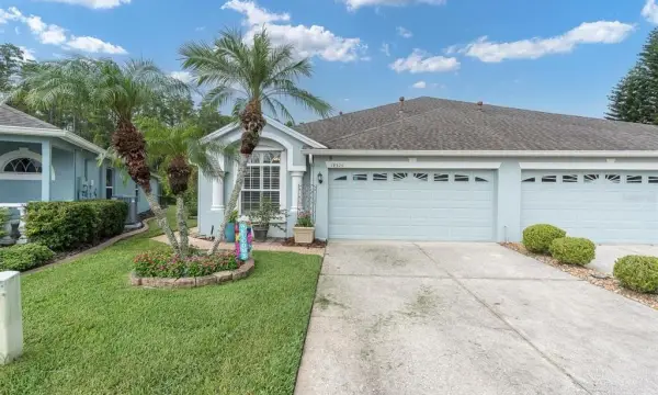 19320 Haskell Place, Land O Lakes, FL, 34638