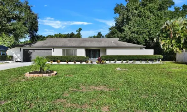 207 Dunbridge Drive, Palm Harbor, FL, 34684