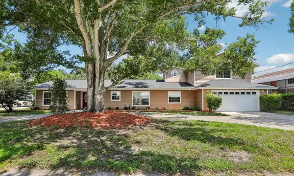 3131 N Canal Drive, Palm Harbor, FL, 34684