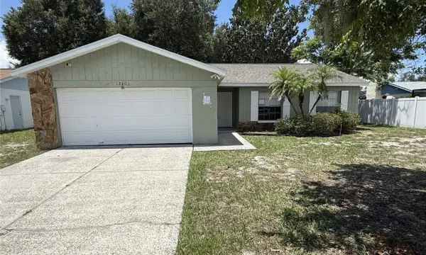 12803 Slippery Elm Court, Riverview, FL, 33579