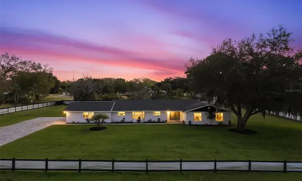 2338 Meadowbrook Drive, Lutz, FL, 33558
