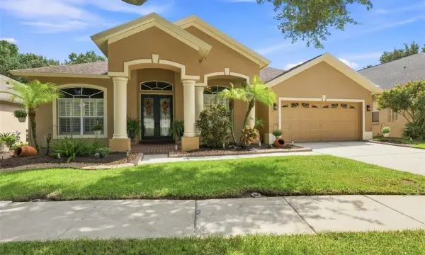 19803 Glazing Globe Lane, Lutz, FL, 33558