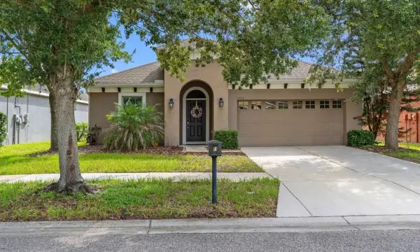 15913 Oakleaf Run Drive, Lithia, FL, 33547