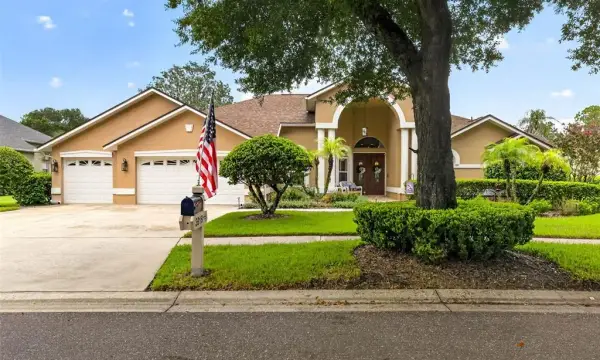 3918 S Nine Drive, Valrico, FL, 33596