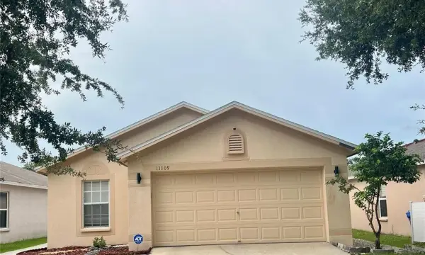 11109 Summer Star Drive, Riverview, FL, 33579