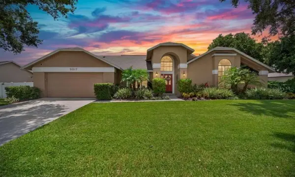 2317 Eagle Bluff Drive, Valrico, FL, 33596