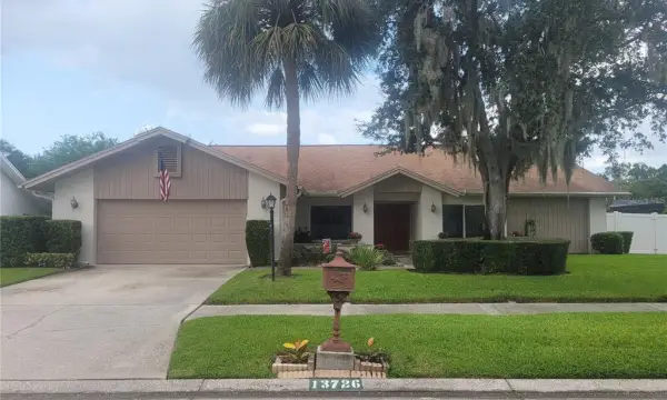 13726 Chestersall Drive, Tampa, FL, 33624