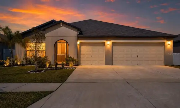 13557 Willow Bluestar Loop, Riverview, FL, 33579