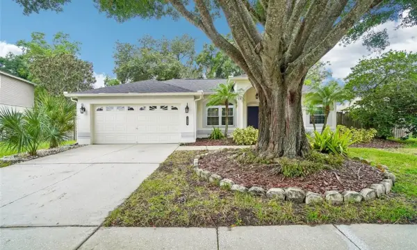 1605 Sand Hollow Lane, Valrico, FL, 33594