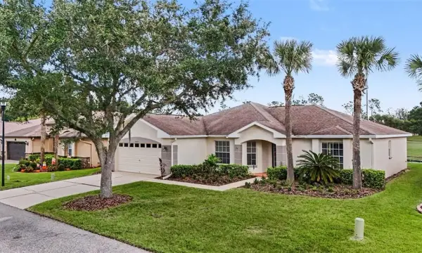 10223 Collar Drive, San Antonio, FL, 33576
