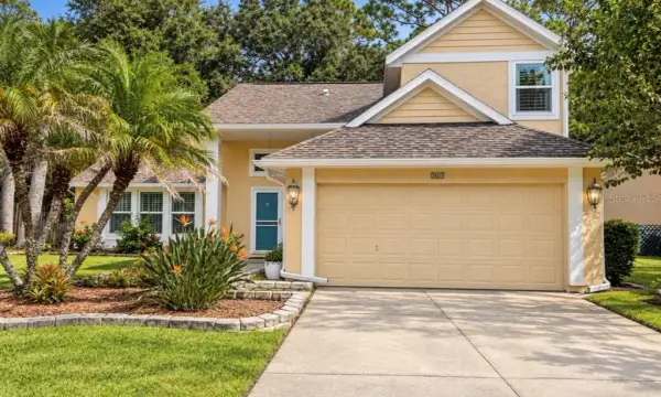 709 Jacaranda Drive, Oldsmar, FL, 34677