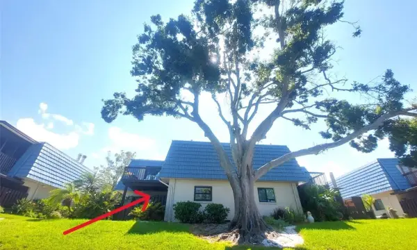 9446 Tradewinds Avenue, Seminole, FL, 33776