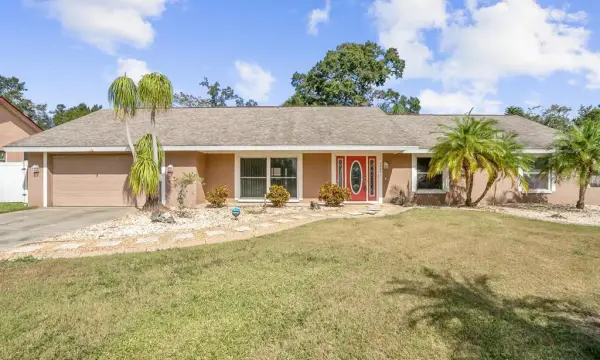 4502 Mohican Trail, Valrico, FL, 33594