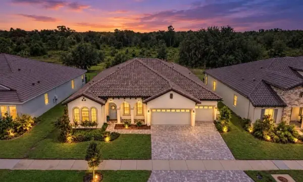 14537 Swiss Bridge Drive, Lithia, FL, 33547