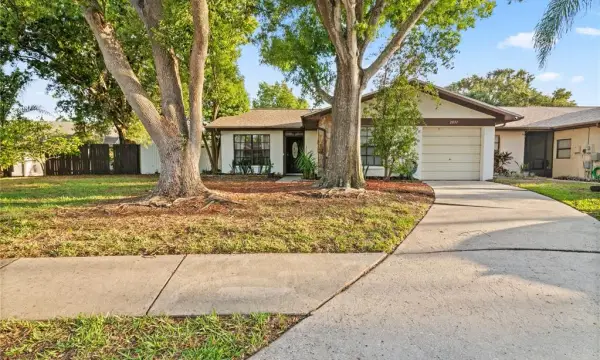2031 Dover Court, Oldsmar, FL, 34677