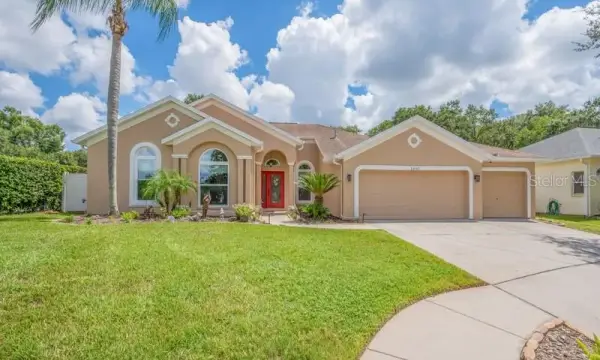 1001 Split Silk Street, Valrico, FL, 33594