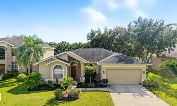 4914 Augusta Avenue, Oldsmar, FL, 34677