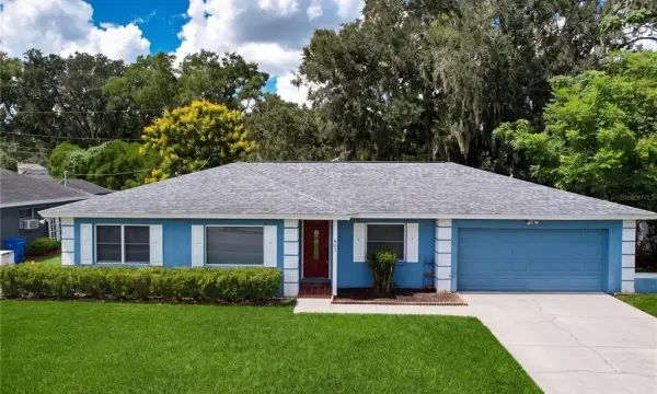 903 Tangelo Place Place, Brandon, FL, 33510
