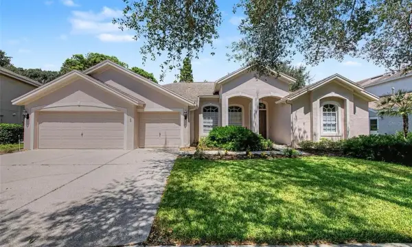 19205 Autumn Woods Avenue, Tampa, FL, 33647