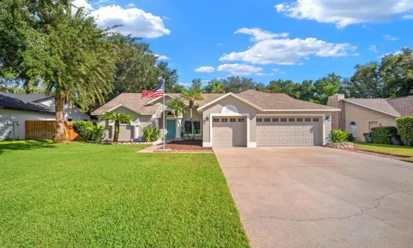 3912 Appletree Drive, Valrico, FL, 33594