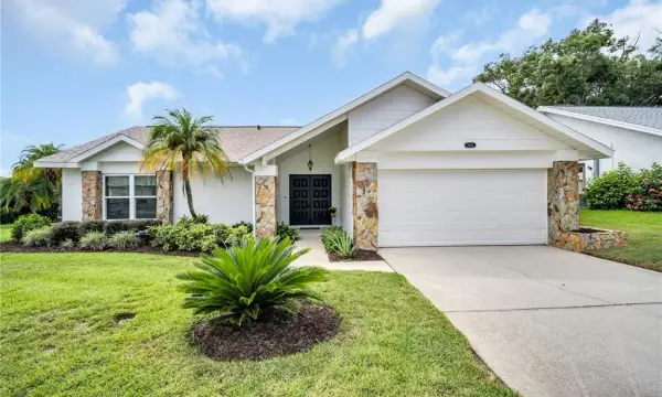 3444 Carmichael Street, Palm Harbor, FL, 34684