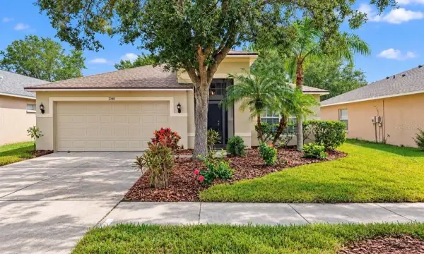 2348 Roanoke Springs Drive, Ruskin, FL, 33570