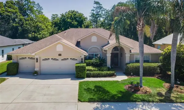 1234 Arlinbrook Drive, Trinity, FL, 34655